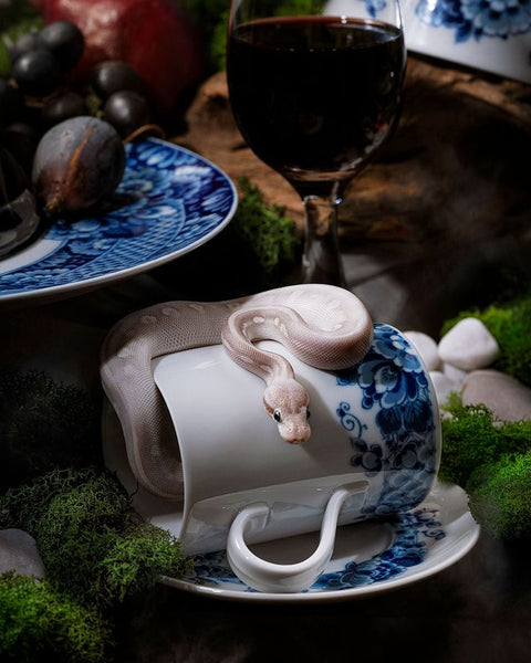 A Comprehensive Comparison of Dutch Blue Porcelain and Jingdezhen Porcelain
